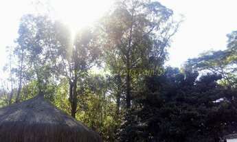 Imagem 5: LOCAL DE MUITO VERDE, PRÓXIMO A RODOVIA ANHANGUERA E PERTINHO DO PICO DO JARAGUA !!!