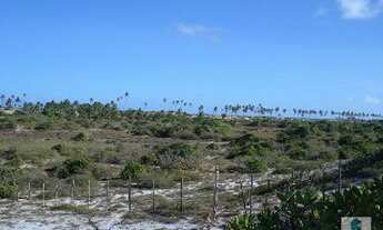 Imagem 3: TERRENO EM CONDE- BA