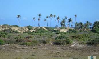 Imagem 4: TERRENO EM CONDE- BA