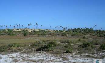 Imagem 5: TERRENO EM CONDE- BA
