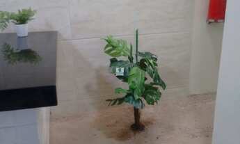 Imagem 4: PONTO COMERCIAL em SALVADOR - BA, RIBEIRA