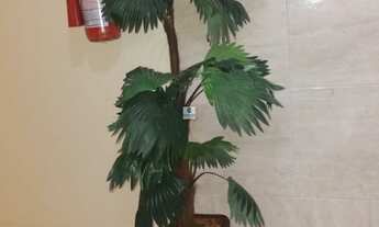 Imagem 5: PONTO COMERCIAL em SALVADOR - BA, RIBEIRA