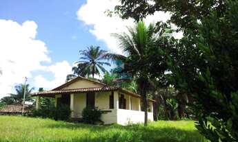 Imagem: FAZENDA RESIDENCIAL em JAGUARIPE - BA, Jaciru