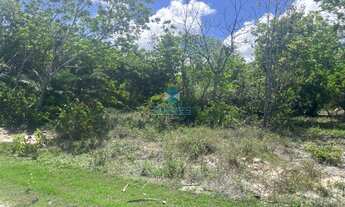 Imagem: TERRENO EM CONDOMÍNIO RESIDENCIAL em MATA