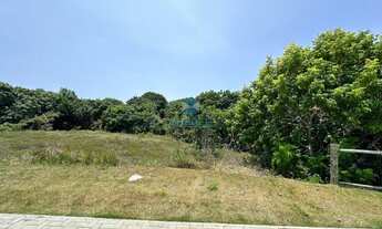 Imagem: TERRENO EM CONDOMÍNIO RESIDENCIAL em MATA