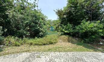 Imagem: TERRENO EM CONDOMÍNIO RESIDENCIAL em MATA