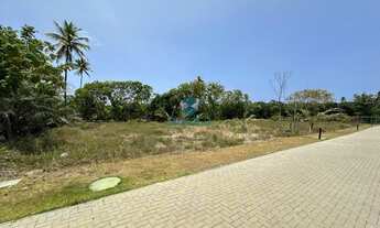 Imagem: TERRENO EM CONDOMÍNIO RESIDENCIAL em MATA