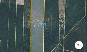 Imagem 6: TERRENO RURAL em MUCUGÊ - BA, Mucugê