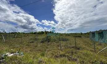 Imagem: TERRENO RESIDENCIAL em PORTO SAUÍPE - BA