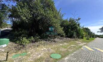 Imagem: Ilha dos Pássaros