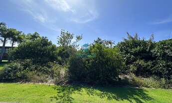 Imagem: Ilha dos Pássaros