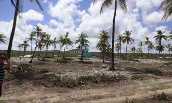 Imagem 7: Terreno Frente Mar à Venda no Conde - 3.000m² na Praia do Jacaré