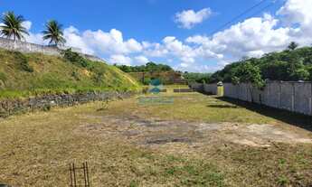 Imagem: Terreno Industrial de 40.000 m² à Venda