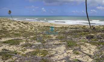 Imagem 6: Terreno Frente Mar à Venda no Conde - 3.000m² na Praia do Jacaré