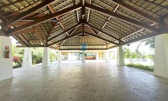 Imagem: Tartarugas - Piscinas Naturais