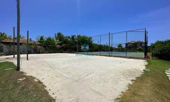 Imagem 2: Tartarugas - Piscinas Naturais