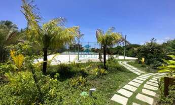 Imagem 3: Tartarugas - Piscinas Naturais