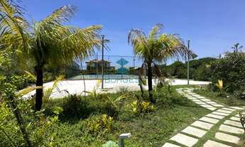 Imagem 5: Tartarugas - Piscinas Naturais