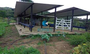 Imagem 7: FAZENDA RURAL em BOA NOVA - BA, FAZENDA RANCHO TIMORANTE