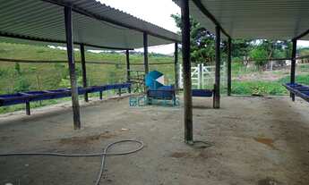 Imagem 5: FAZENDA RURAL em BOA NOVA - BA, FAZENDA RANCHO TIMORANTE