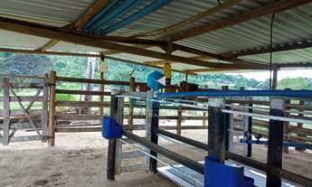 Imagem 4: FAZENDA RURAL em BOA NOVA - BA, FAZENDA RANCHO TIMORANTE