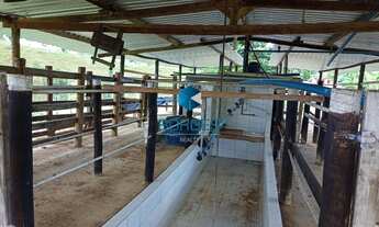 Imagem 6: FAZENDA RURAL em BOA NOVA - BA, FAZENDA RANCHO TIMORANTE