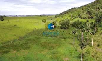 Imagem 4: FAZENDA RURAL em Amelia Rodrigues - BA, Amelia Rodrigues