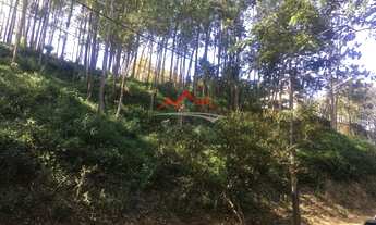 Imagem: TERRENO RESIDENCIAL em CAJAMAR - SP, SERRA