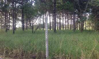 Imagem 3: AREA INDUSTRIAL em CAMPO LIMPO PAULISTA - SP, BOTUJURU (BOTUJURU