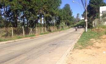 Imagem 5: AREA INDUSTRIAL em CAMPO LIMPO PAULISTA - SP, BOTUJURU (BOTUJURU