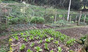 Imagem 6: SITIO RESIDENCIAL em CAMPO LIMPO PAULISTA - SP, ESTÂNCIA SÃO PAULO