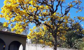 Imagem 2: CHACARA RESIDENCIAL em Campo limpo paulista - SP, Figueira branca