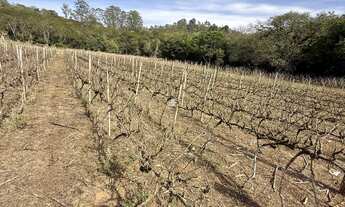 Imagem 4: Oportunidade única: Sitio à venda em Jarinu-SP, bairro Campo Largo, com 2 quartos, 1 sala