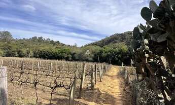 Imagem 3: Oportunidade única: Sitio à venda em Jarinu-SP, bairro Campo Largo, com 2 quartos, 1 sala