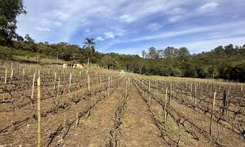 Imagem 2: Oportunidade única: Sitio à venda em Jarinu-SP, bairro Campo Largo, com 2 quartos, 1 sala