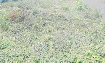 Imagem 2: TERRENO RESIDENCIAL em Jarinu - SP, Vila Nova Trieste