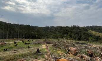 Imagem 7: AREA INDUSTRIAL em JARINU - SP, DOS IVOS