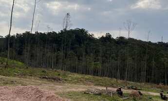 Imagem 2: AREA INDUSTRIAL em JARINU - SP, DOS IVOS