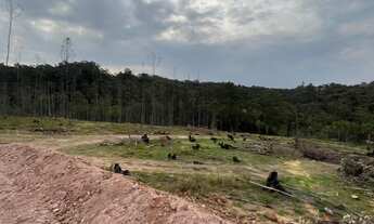 Imagem 3: AREA INDUSTRIAL em JARINU - SP, DOS IVOS