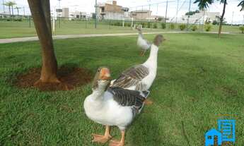 Imagem 4: TERRENO CONDOMINIO VILLAGE DAMHA I, SÃO JOSE DO RIO PRETO