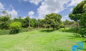 Imagem 5: CHÁCARA ESTÂNCIA BELA VISTA, SÃO JOSÉ DO RIO PRETO