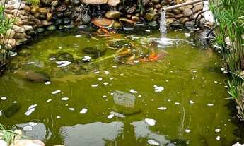 Imagem 5: Apartamento Residencial Ana Célia, São José do Rio Preto