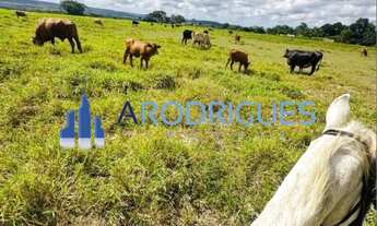 Imagem: Fazenda à venda em Teodoro Sampaio-BA