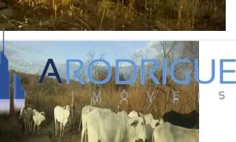 Imagem: FAZENDA RURAL em PILÃO ARCADO - BA, Pilãozinho