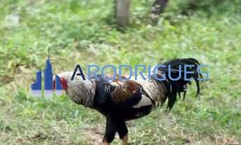 Imagem 4: Oportunidade Única: Terreno em Condomínio de 525m² em Simões Filho-BA! Agende sua visita a