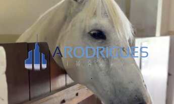 Imagem: Oportunidade Única Terreno em Condomínio