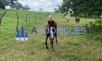 Imagem 5: Fazenda à Venda em Feira de Santana-BA, Bairro Humildes: 2 quartos, 2 salas, 3 banheiros