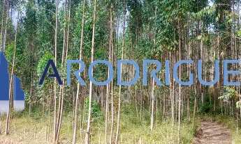 Imagem 4: Fazenda à Venda Na Região de Capelinha em Minas Gerais - Oportunidade Imperdível!