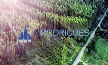 Imagem: Fazenda à Venda Na Região de Capelinha