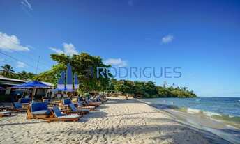 Imagem 2: Hotel Pousada de Luxo à Venda em Boipeba - Oportunidade de Investimento: Condomínio Comerc